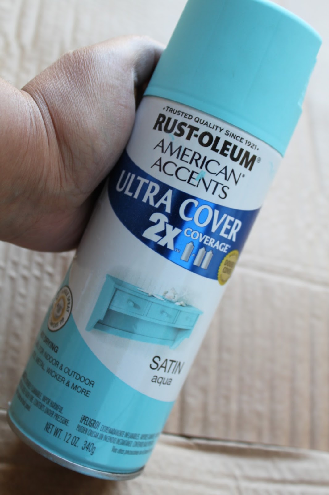 Nafisa's World DIY Craft Project Spraypainted tin cans