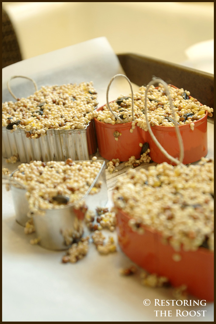 Restoring the Roost Valentine Bird Seed Hearts