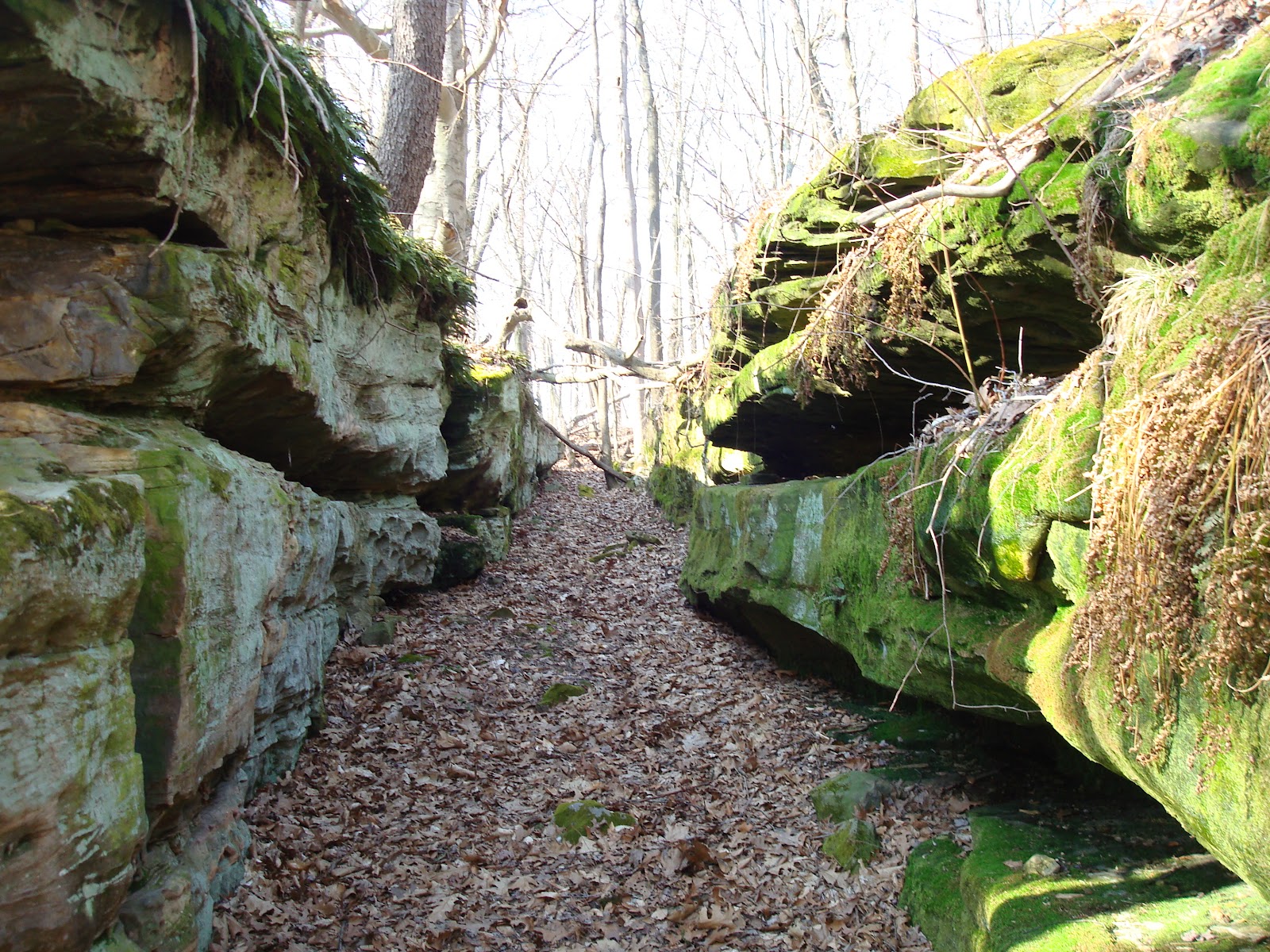 Mound Builders A Travel Guide to the Ancient Ruins in the Ohio Valley