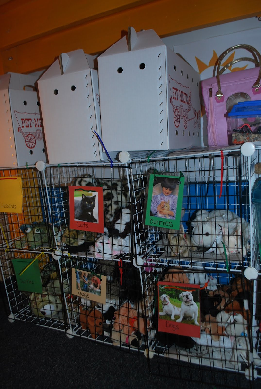 Familylicious Preschool Projects Vet/ Pet Store Imaginary Play