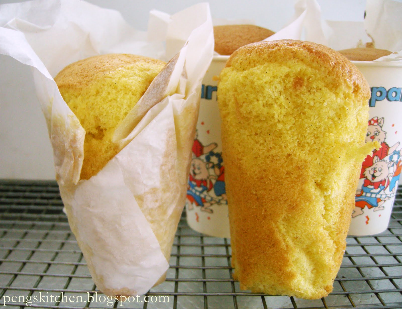 Peng's Kitchen Paper Sponge