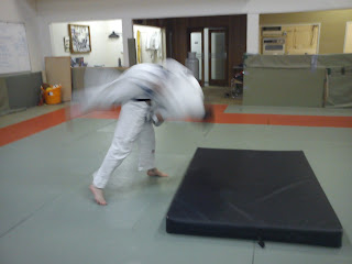 Guardant Jiu Jitsu - throws and takedown training