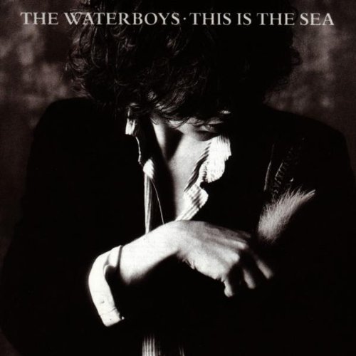 ¿Qué estáis escuchando ahora? The+Waterboys+-+This+Is+The+Sea