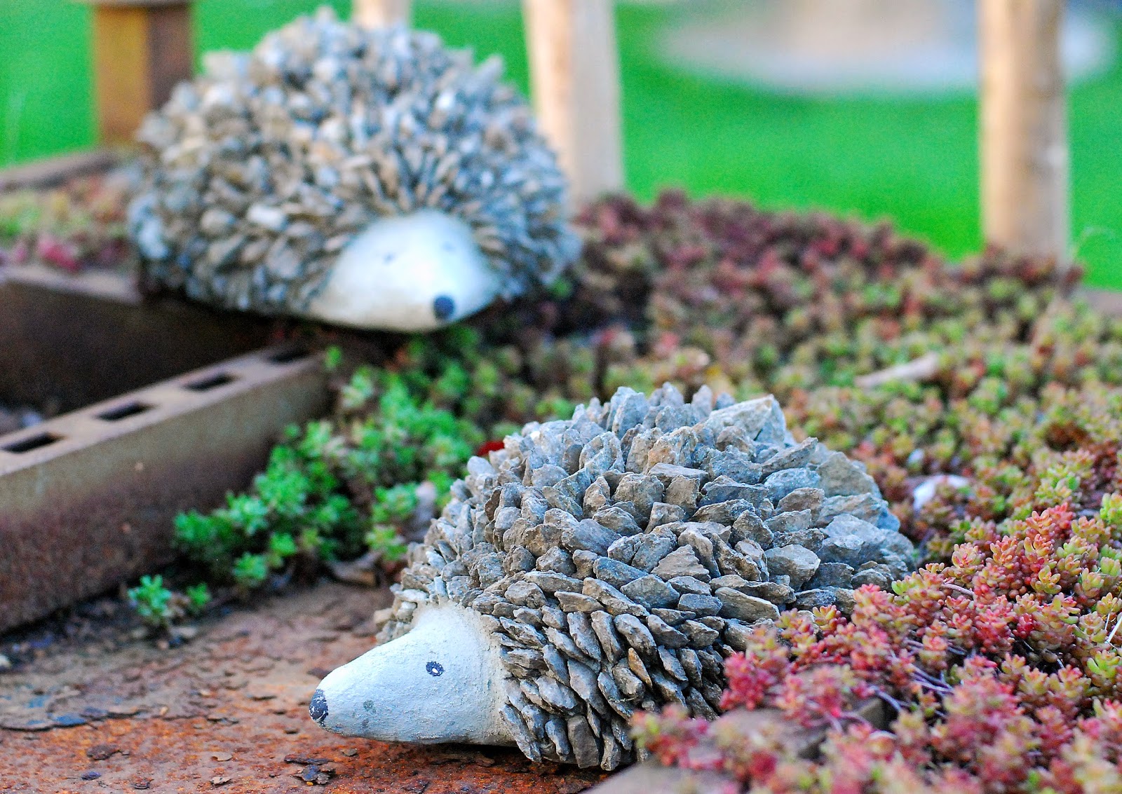 My Own Specials: November 2013