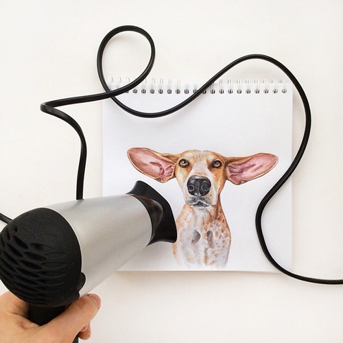 07-Hair dryer Love It-Valerie-Susik-Валерия-Суслопарова-Cats-and-Dogs-Interactive-Animal-Drawings-www-designstack-co