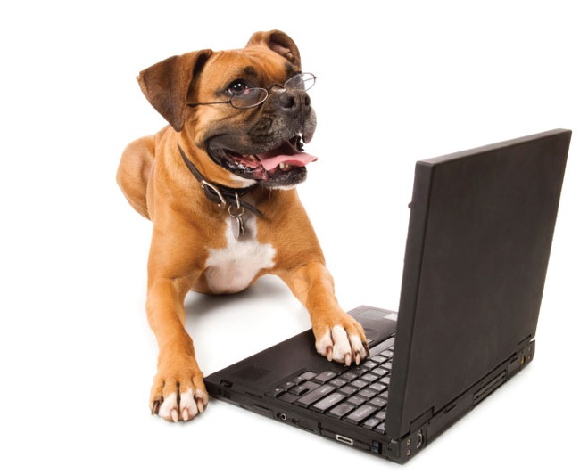 dog+at+computer.jpg