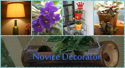 Novice Decorator