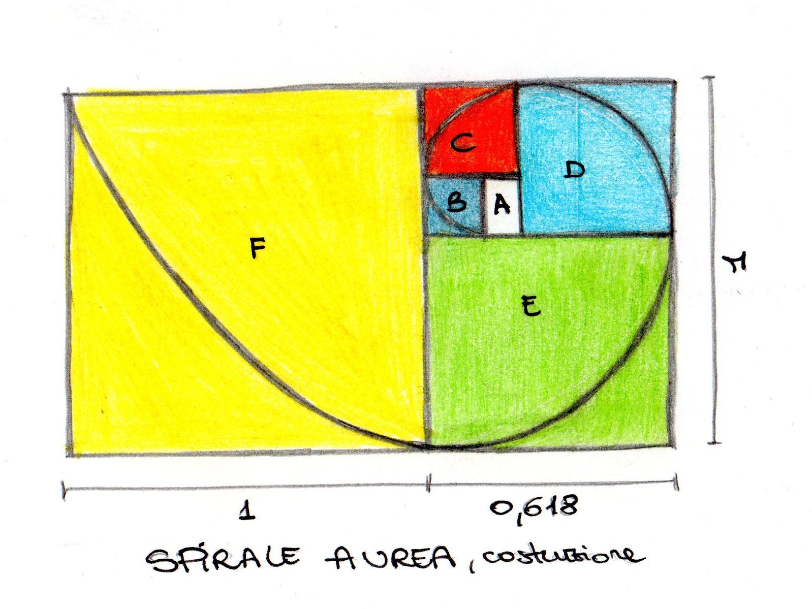 Cecilia polidori twice design: studiando la sezione aurea.. Sezione aurea arte