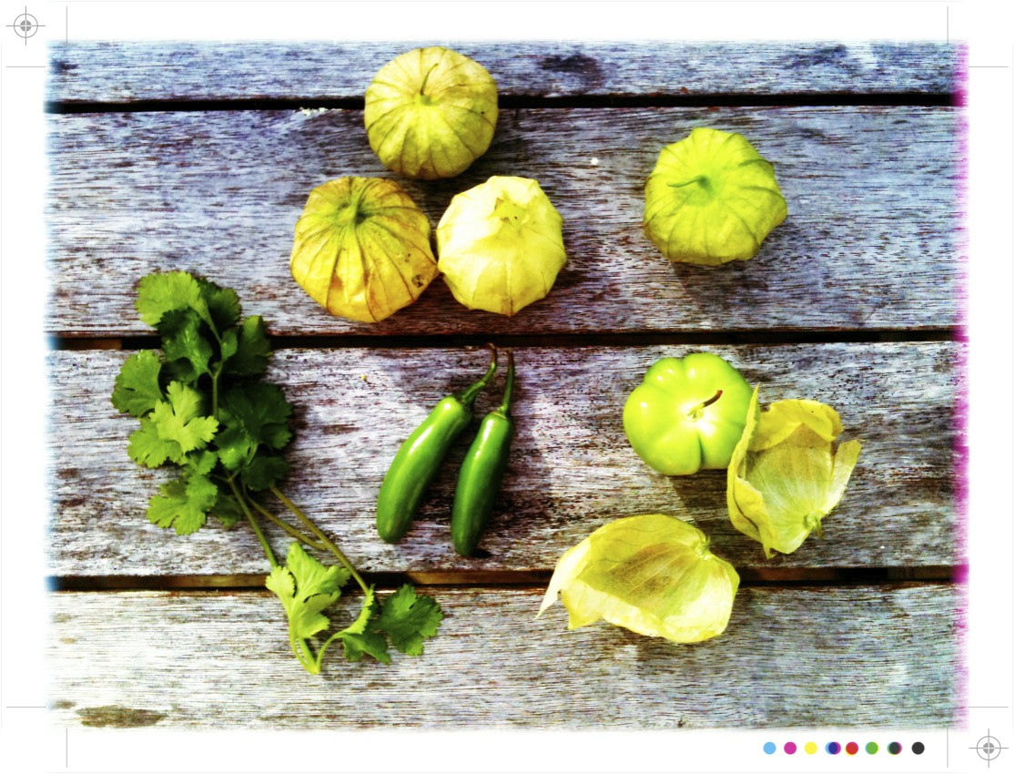 Toast Roasted Tomatillo Salsa for Cinco de Mayo