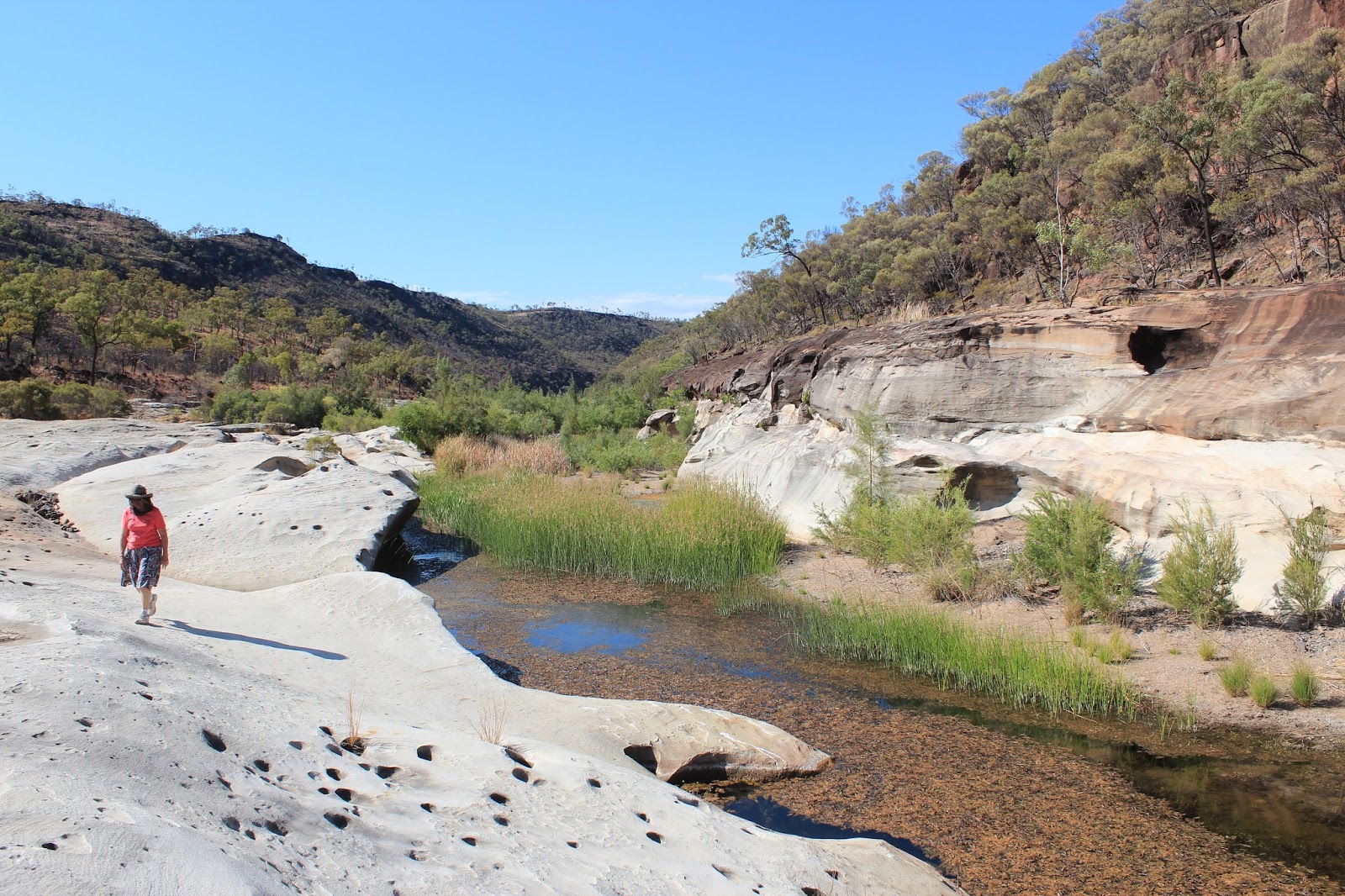 Kylefun FRIDAY 23RD PORCUPINE