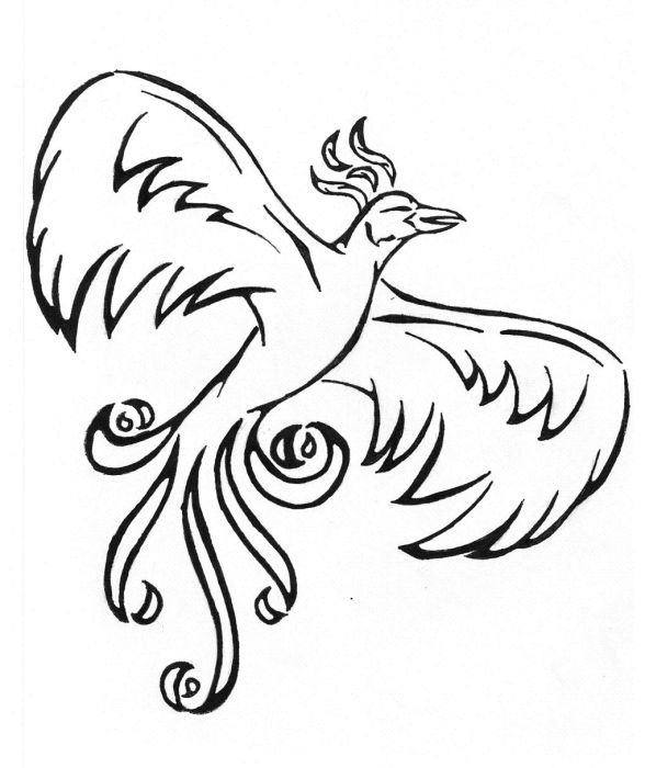 phoenix tribal tattoo design pictures
