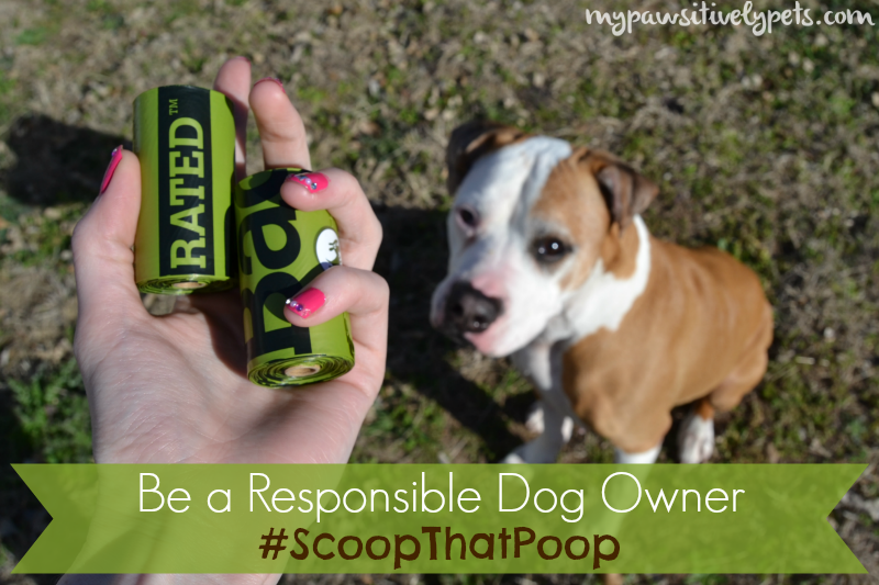 Do You Have To Pick Up Dog Poop In Your Own Yard