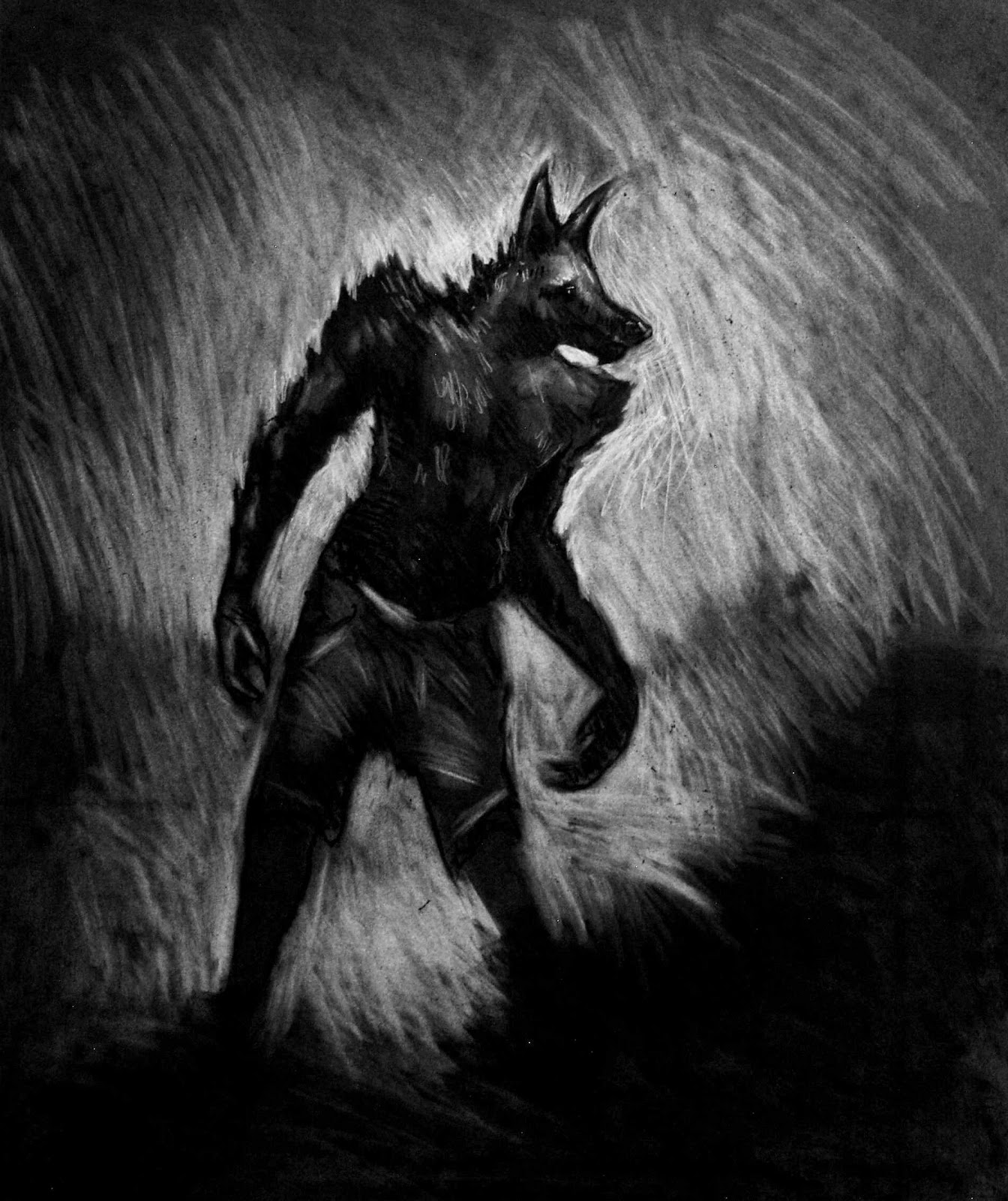 Myth Of Big Black Cat Sightings Myth Of Big Black Cat Sightings