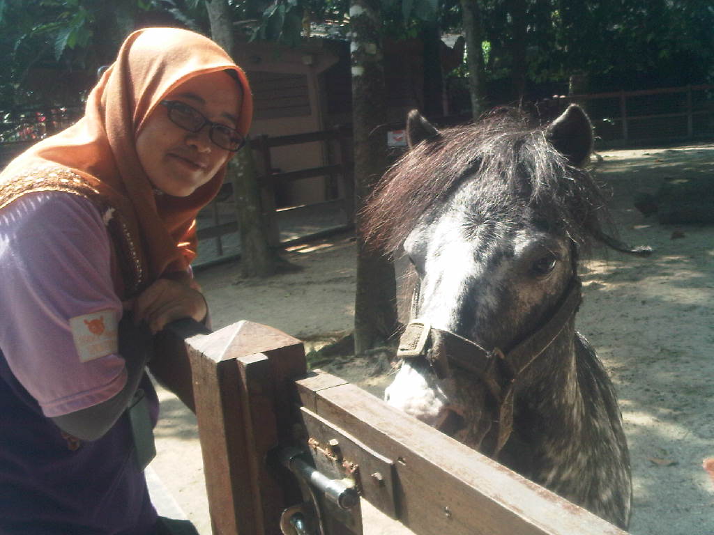 Cerita Tentang Aku Volunteer Zoo Negara Cerita Tentang Aku Volunteer Zoo Negara