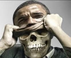  Донн Мартен: Американский диктатор: Кровавая империя Обамы  - фото 1