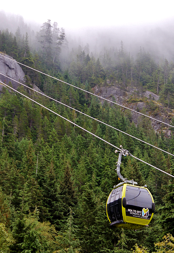 Land Sea Tours- Cruise Excursion, Sea To Sky Gondola and Pilot Suspension Bridge in Squamish, B.C.