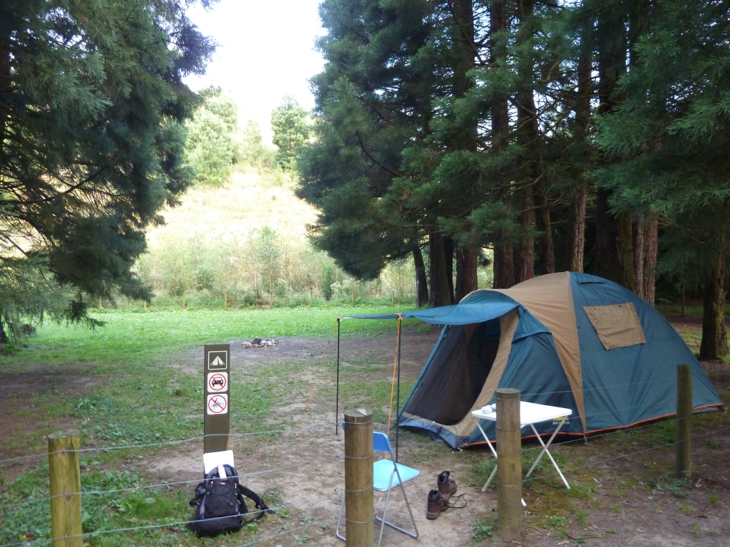 Back To Nature Campsites Stevenson Falls Otways NP VIC