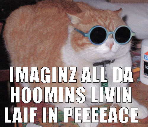 cat lennon funny cats