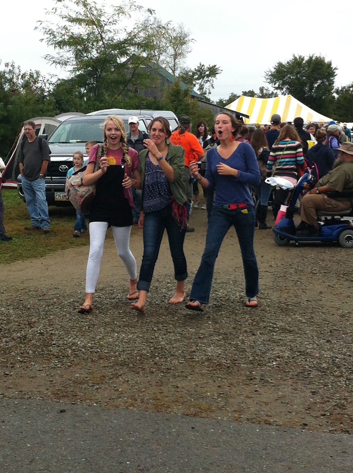sweet william fair fashion common ground.