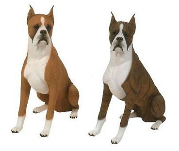 Get cute female boxer dog names