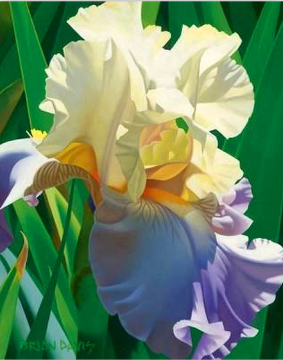 Pintores+Realistas Pintura y Fotografía Artística : PINTURA FLORES REALISTAS