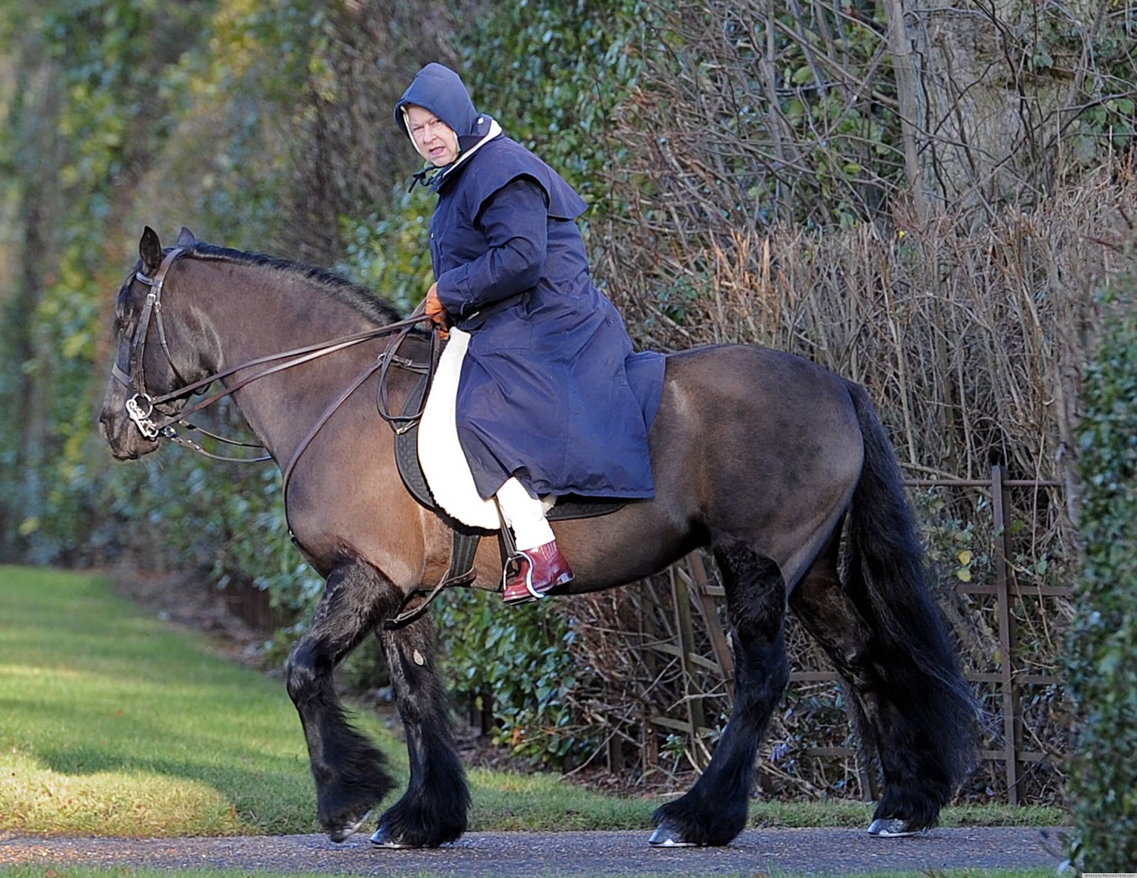 ACravan: Sandringham Murder Mystery (From The Telegraph); Zombies Link