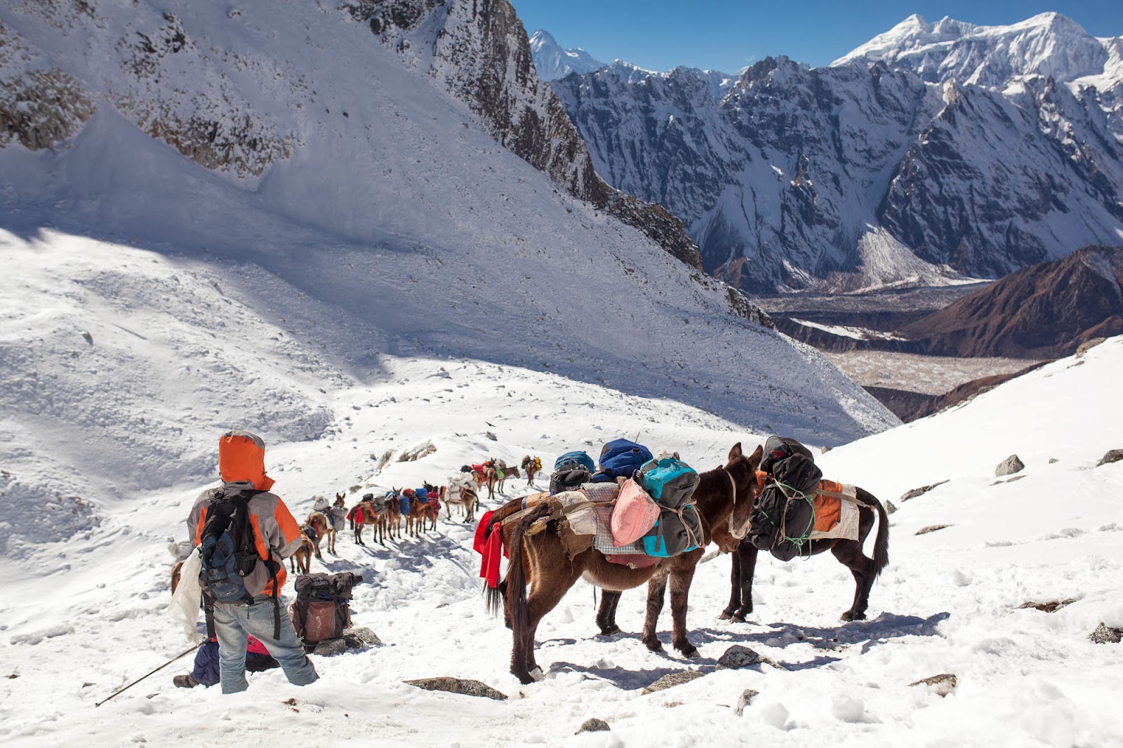 manaslu trekking