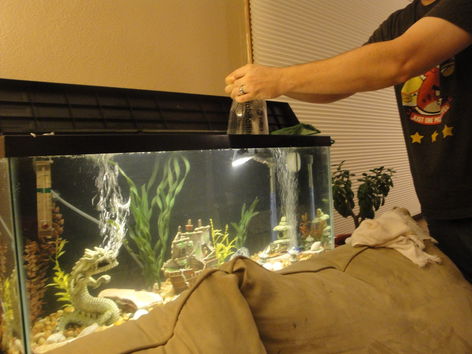 The Swenson Chronicles The Fish Tank