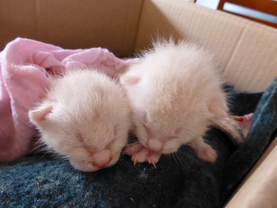 11 Monate Weltwarts In Albanien