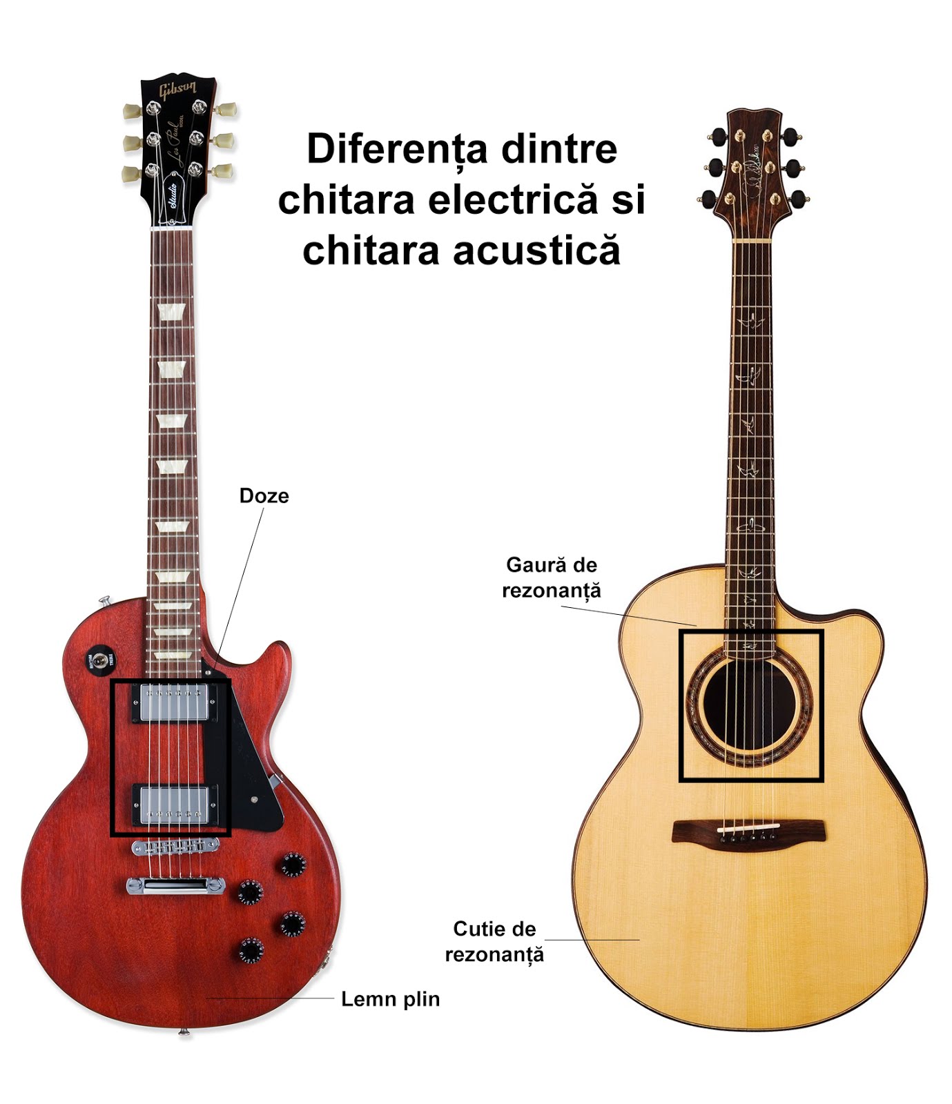 Guitars Friend Părțile Chitarei