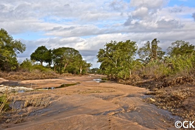 Flusslandschaft im Sommer, vor dem langersehnten Regen.