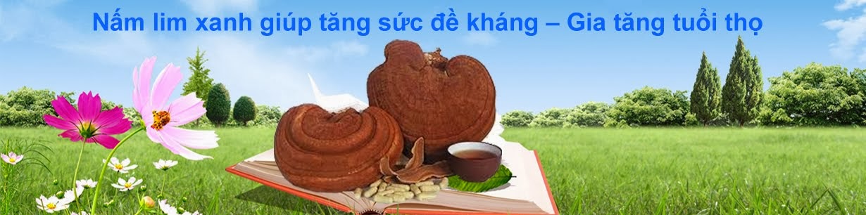 Nấm lim xanh tiên phước giá rẻ