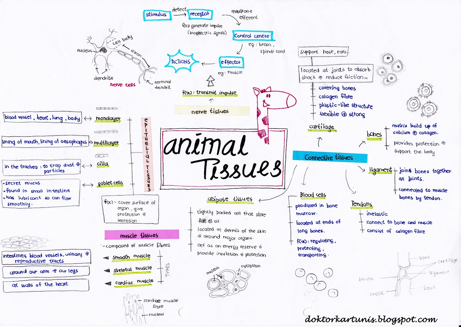 Essays and aphorisms quotes