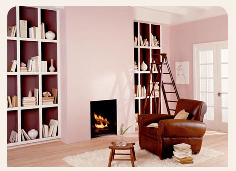 cat interior