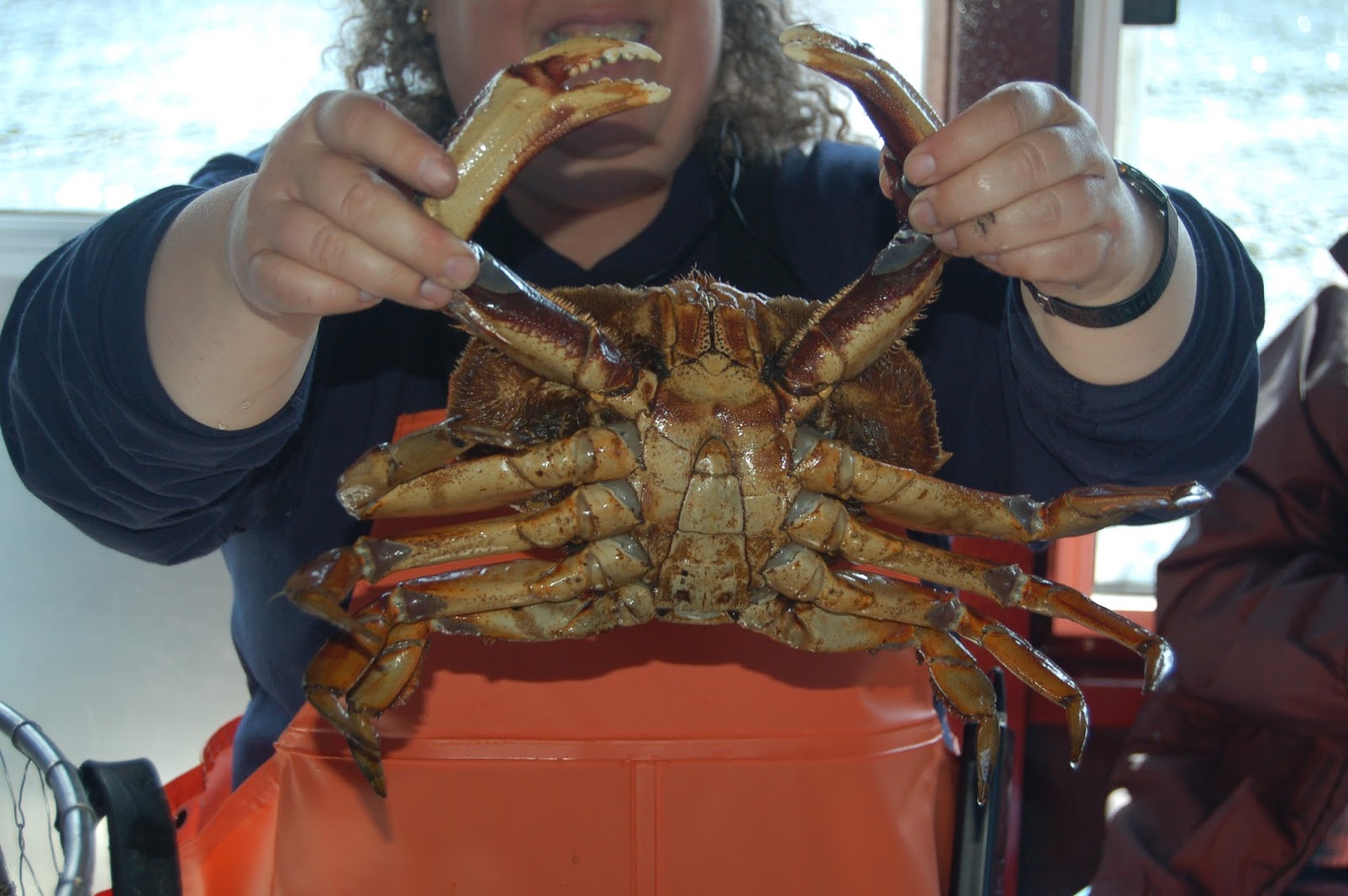 The Siberian American Catching Crabs A Crab Feast Excursion in