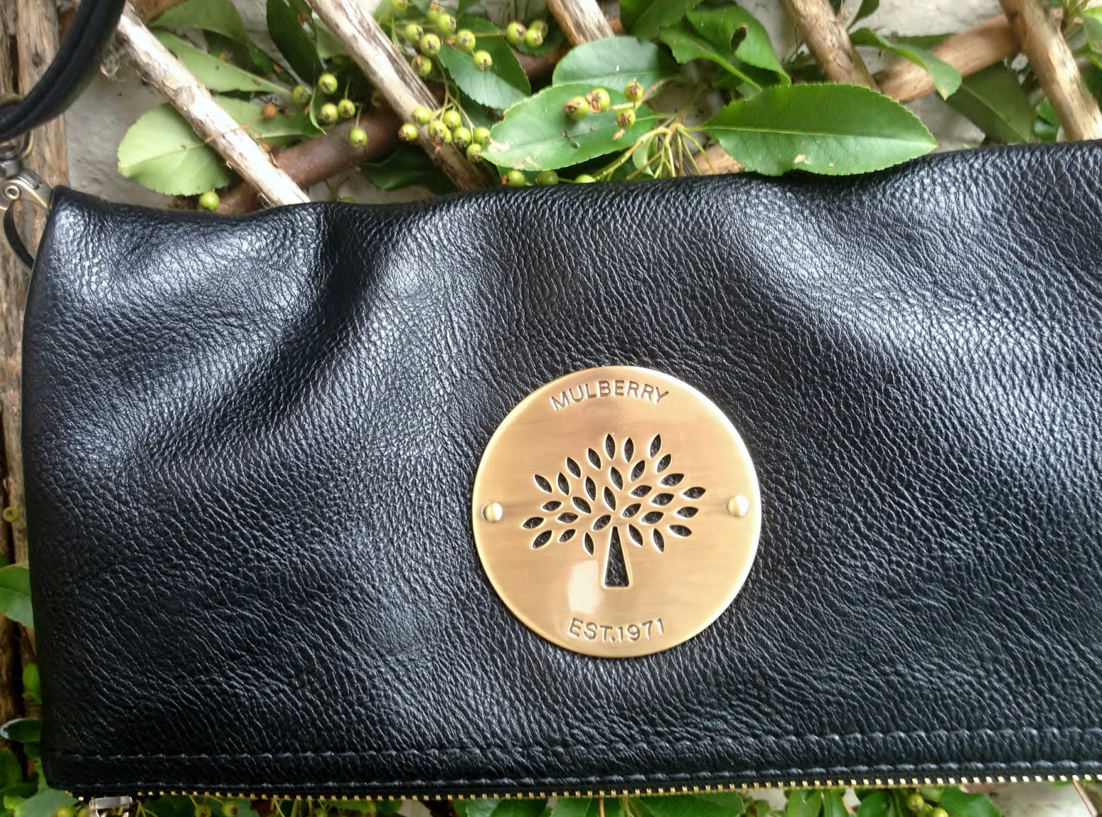 The Adventures of Hann My Fulberry (Fake Mulberry)