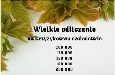 Łapanie licznika u Kasi