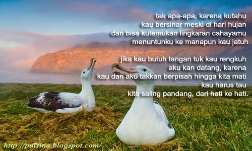 Puisi Cinta Dari Hati Ke Hati Puisi Cinta Dari Hati Ke Hati