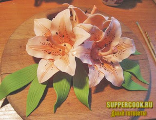 �������� ������������ �������