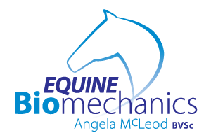 Angela McLeod Equine Biomechanics