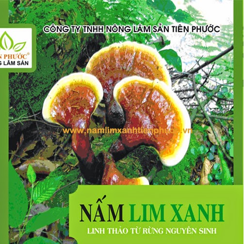 Vỏ hộp sản phẩm nấm lim xanh của Công ty TNHH Nông lâm sản Tiên Phước Vỏ hộp sản phẩm nấm lim xanh của Công ty TNHH Nông lâm sản Tiên Phước