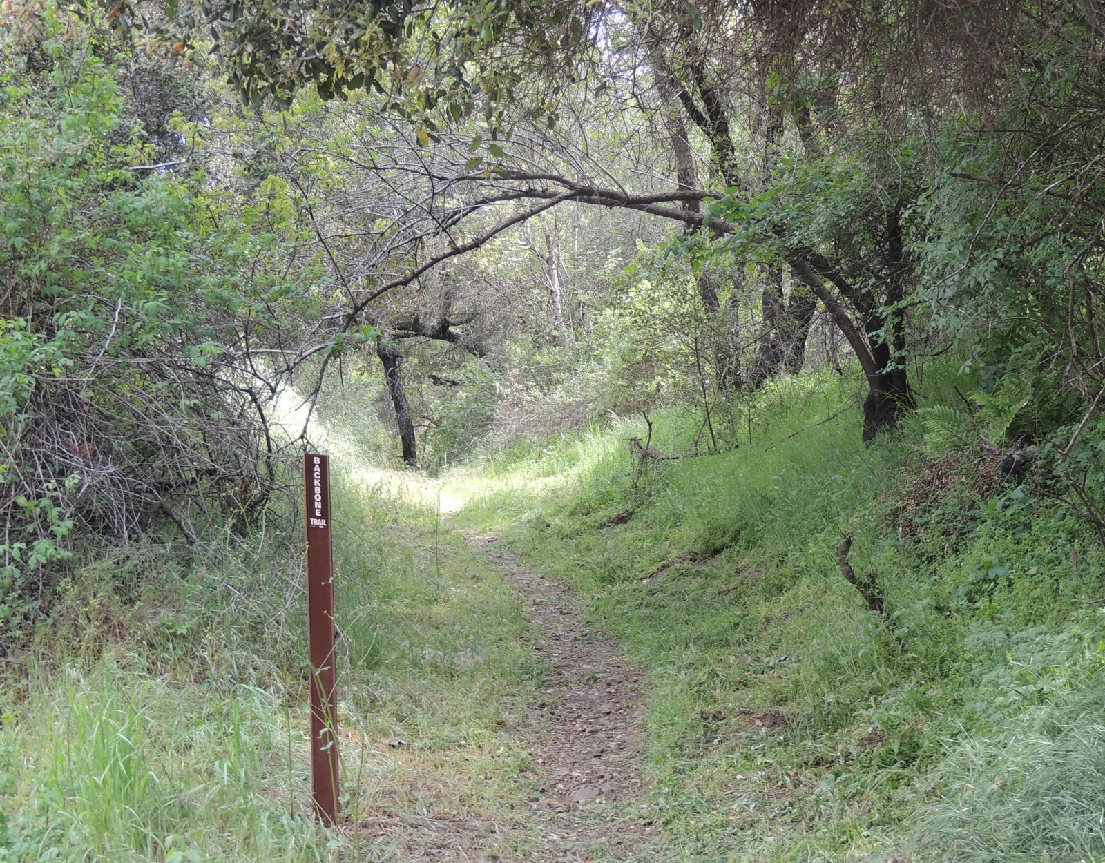 1000 Hikes in 1000 Days Day 873 Backbone Trail from Old Topanga Road to Trippet Ranch