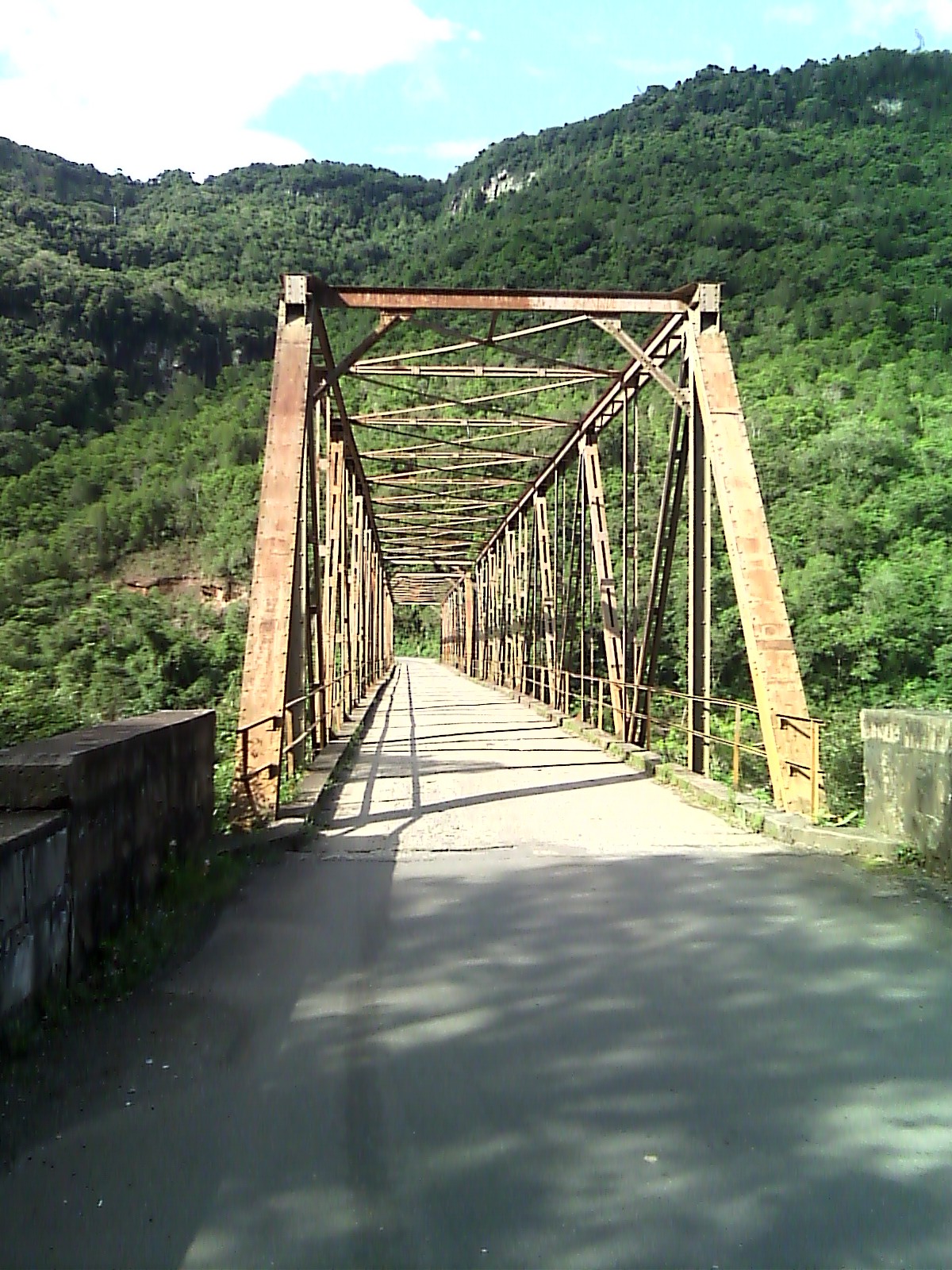 Ponte do Rio das Antas  Biologia