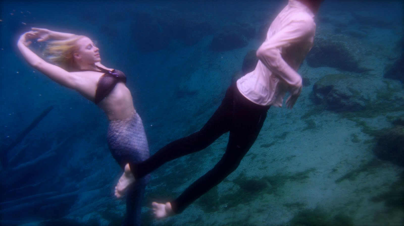Mermaid Melissa: Underwater Performer amp; Pro Free Diver: New Mermaid 
