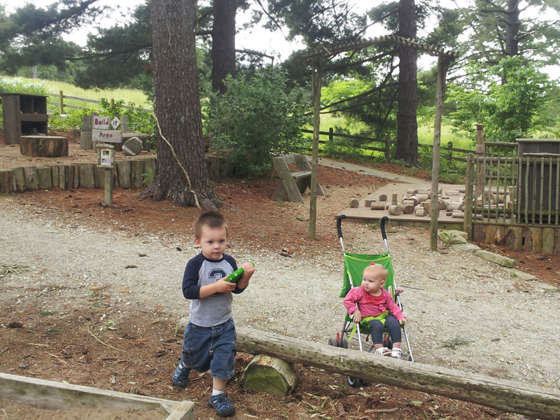 Play St. Louis Shaw Nature Reserve, Gray Summit