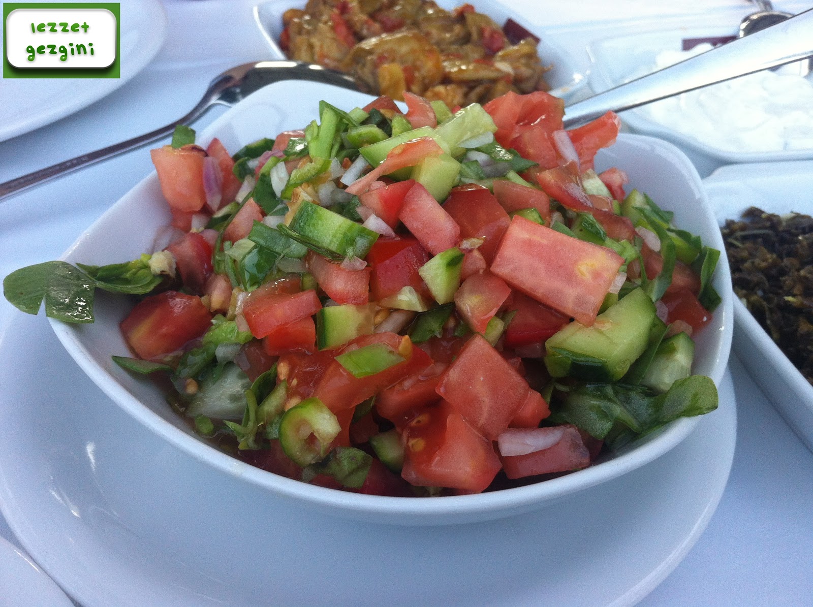 Lezzet Gezgini; Gezdim, Buldum, Yedim, Doydum.. Özsu (Kutluhan) Et