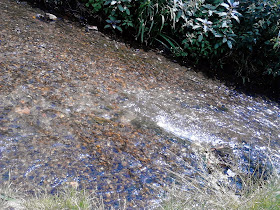 FAST FLOWING URBAN STREAM IN LEWISHAM: