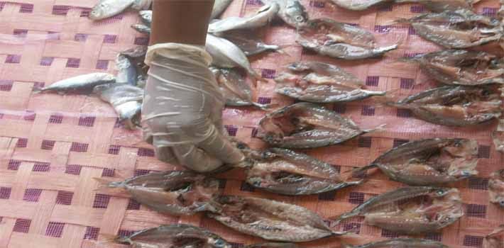 Proses Pengolahan Ikan Asin