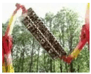 Russian Theme Park Ride Russian Theme Park Ride