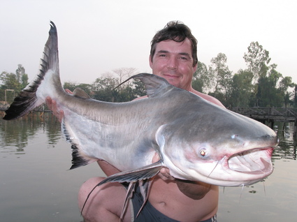 Giant+mekong+catfish+world+record